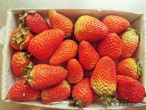 国产草莓免费网站视频,尽享田园风情，感受自然魅力