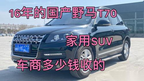 国产野马试驾评测视频