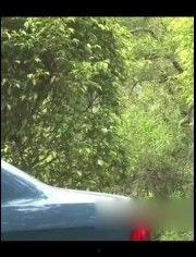 国产热门轿车测评视频